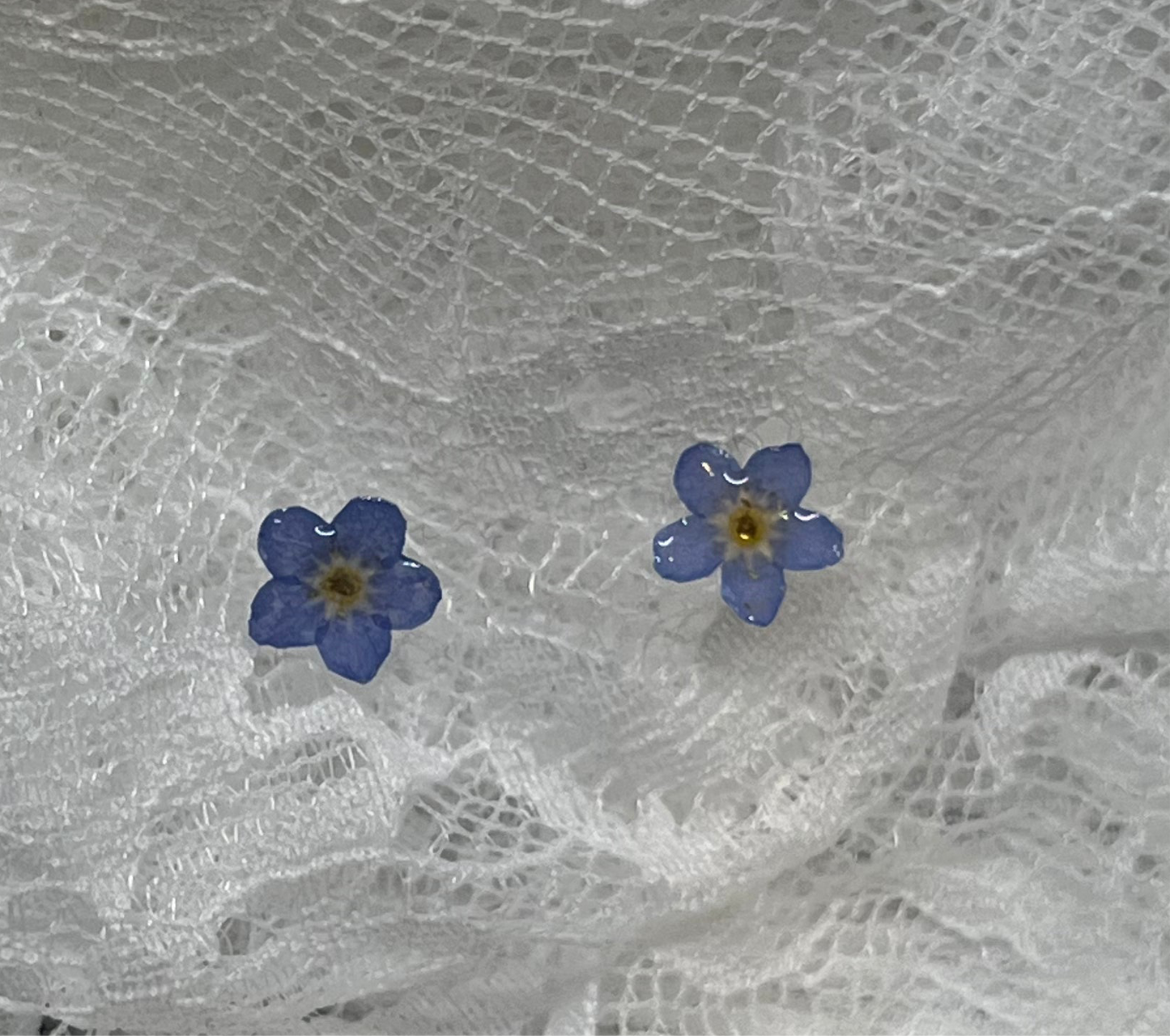 Forget me not studs