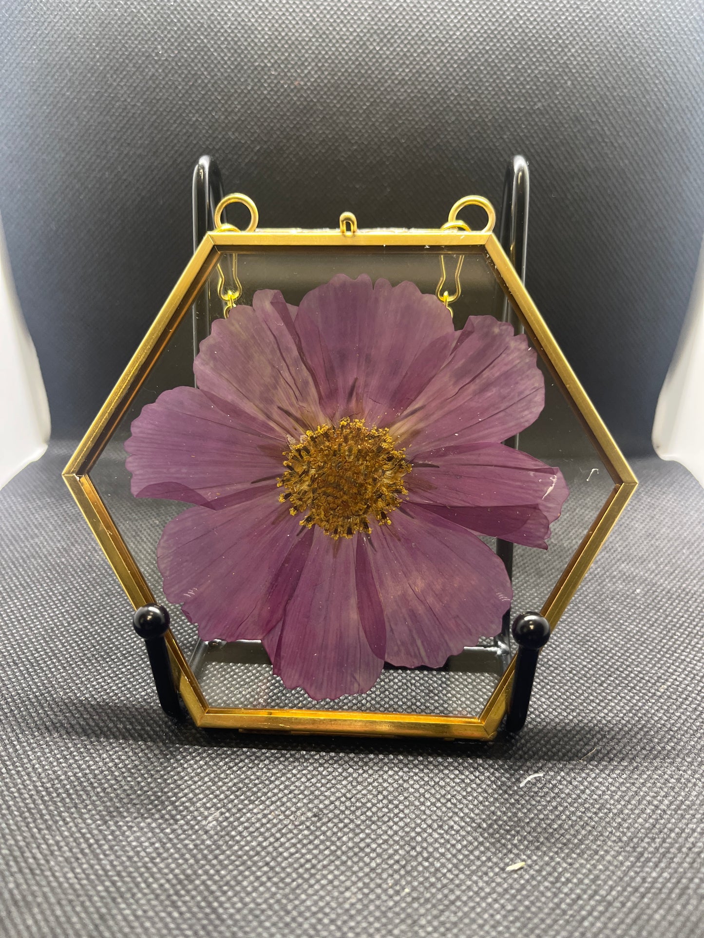 Purple Flower