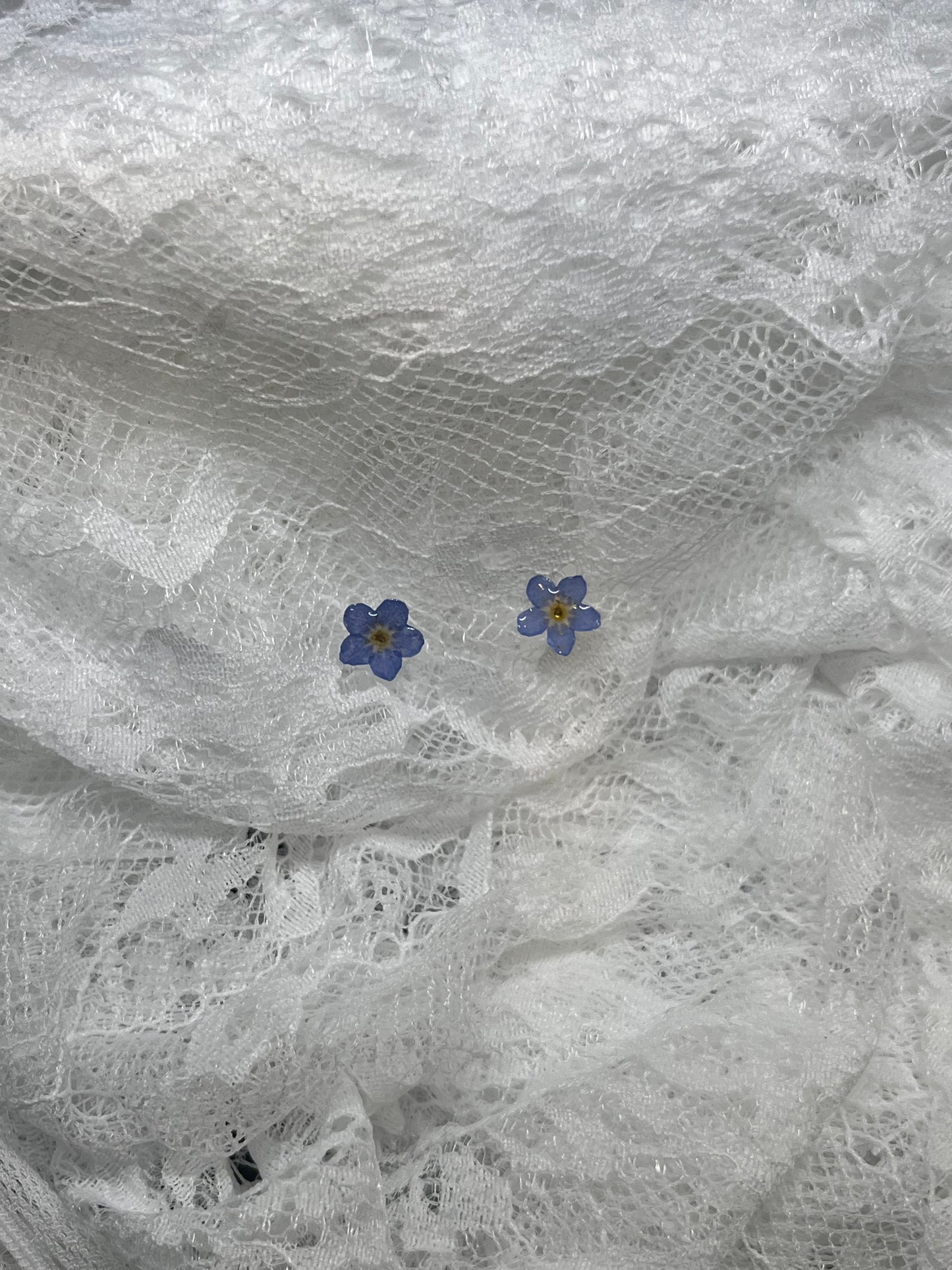 Forget me not studs