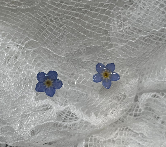 Forget me not studs
