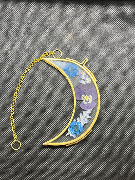 Blue and Purple Moon