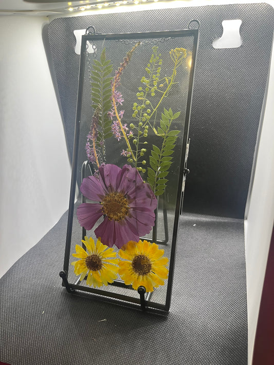 Purple and yellow