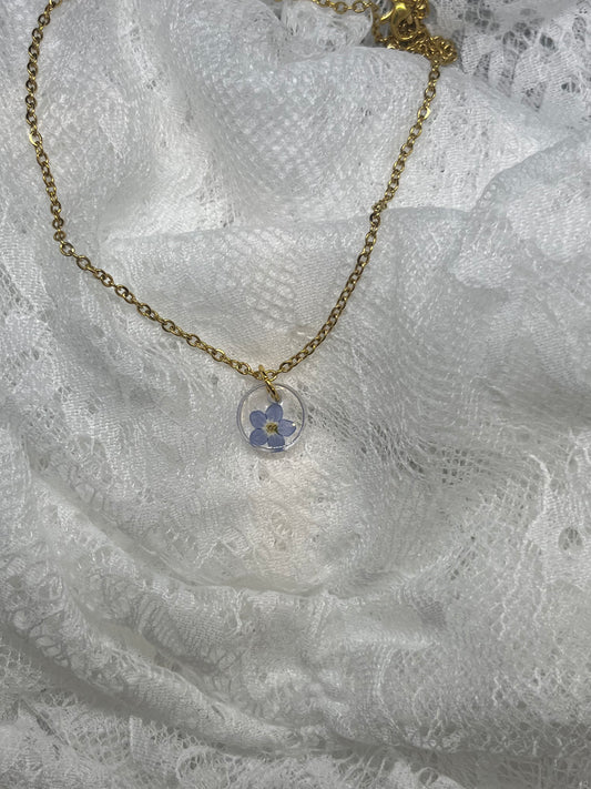 Gold forget me not
