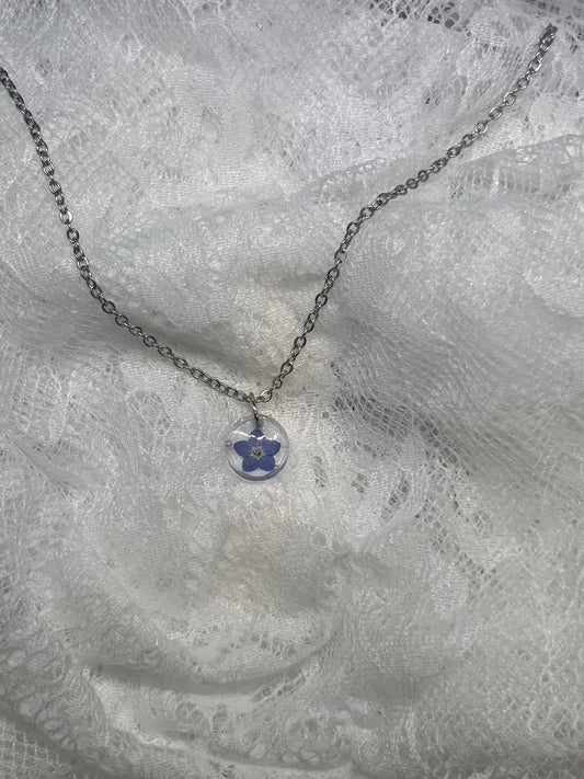 Silver forget me not
