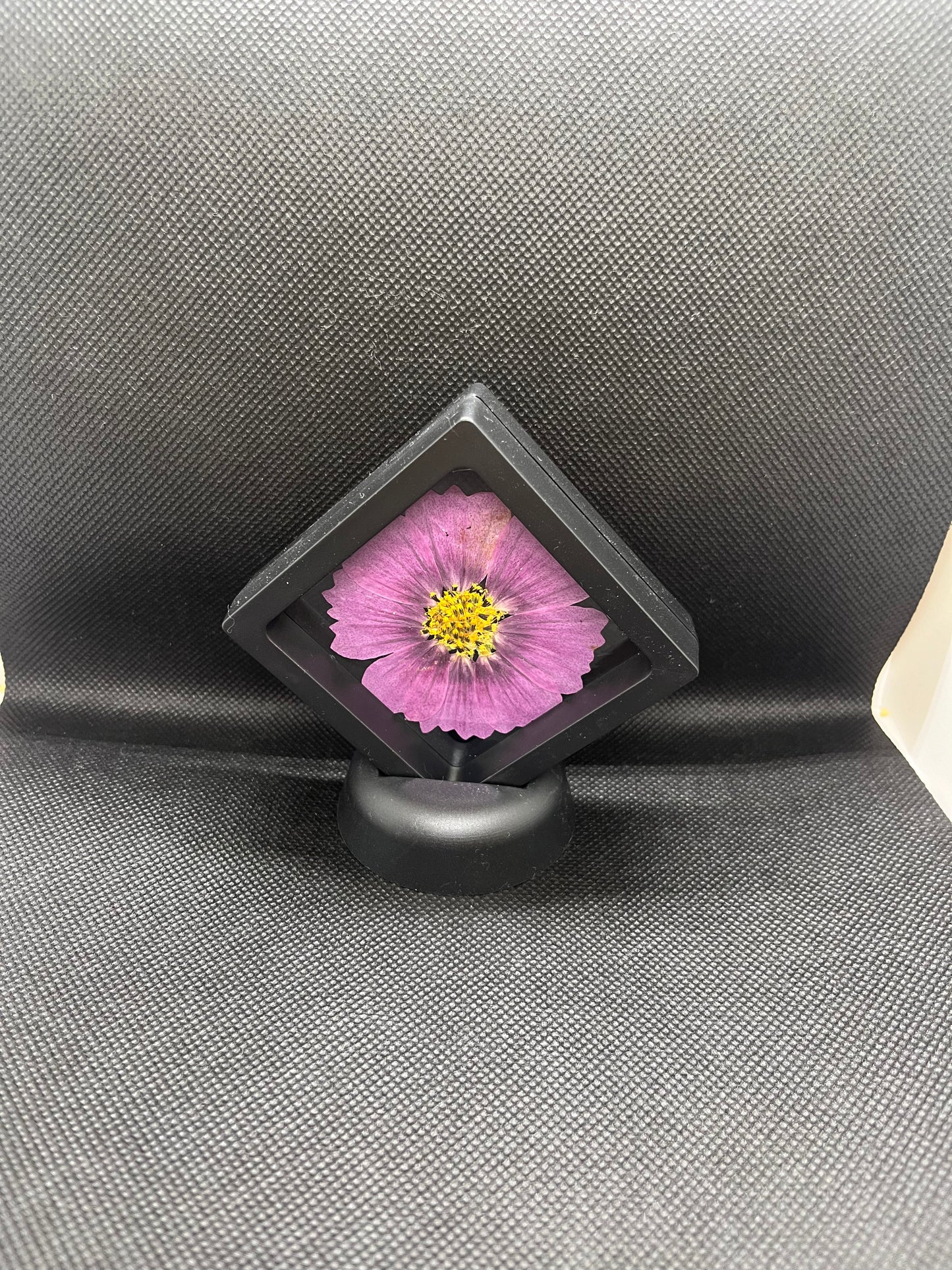 Purple Flower