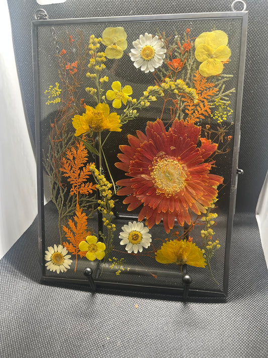 Orange, Yellow, and White