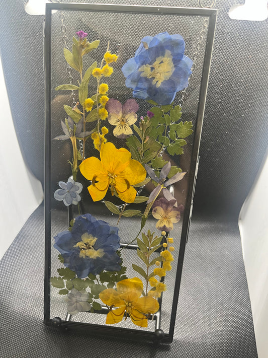 Blue & Yellow