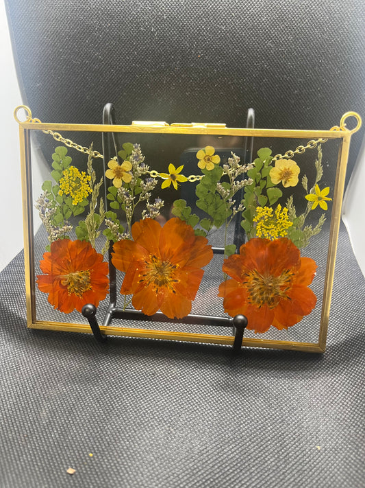 Orange & Yellow