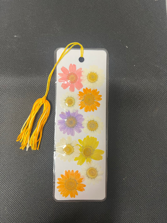 Daisys